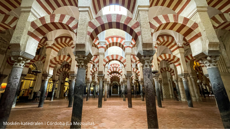 Dag 4. Tisdag den 6 oktober.